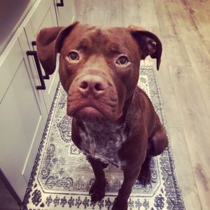 Meet your Posher, Lindsey